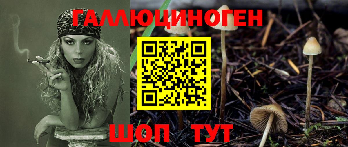 Галлюциногенные грибы Psilocybe  Вход с VPN  Белореченск 