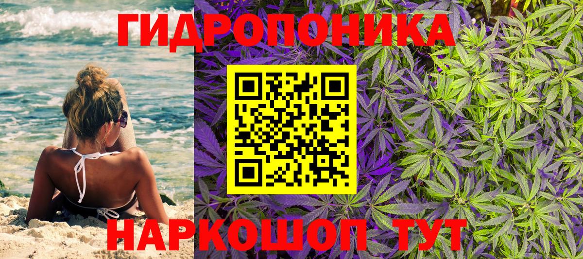 Бошки марихуана ГИДРОПОН  Марихуана гибрид  Вход с VPN  Белореченск  МАРИХУАНА Ganja  МАРИХУАНА Ganja 